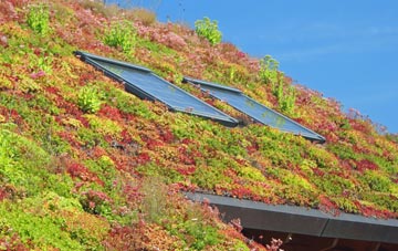 Shell Green living roof systems